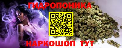 ПСИЛОЦИБИНОВЫЕ ГРИБЫ Свободный